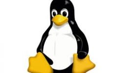 Assistenza Computer Linux