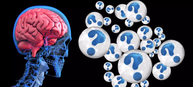 brain 2546101