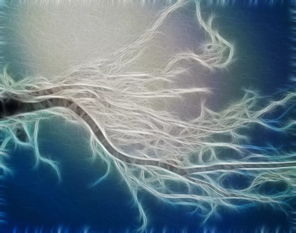 artwork 68193