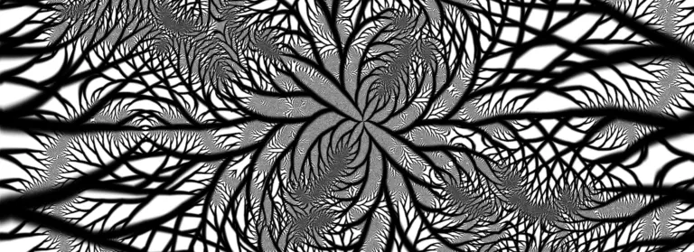 fractal 17421091